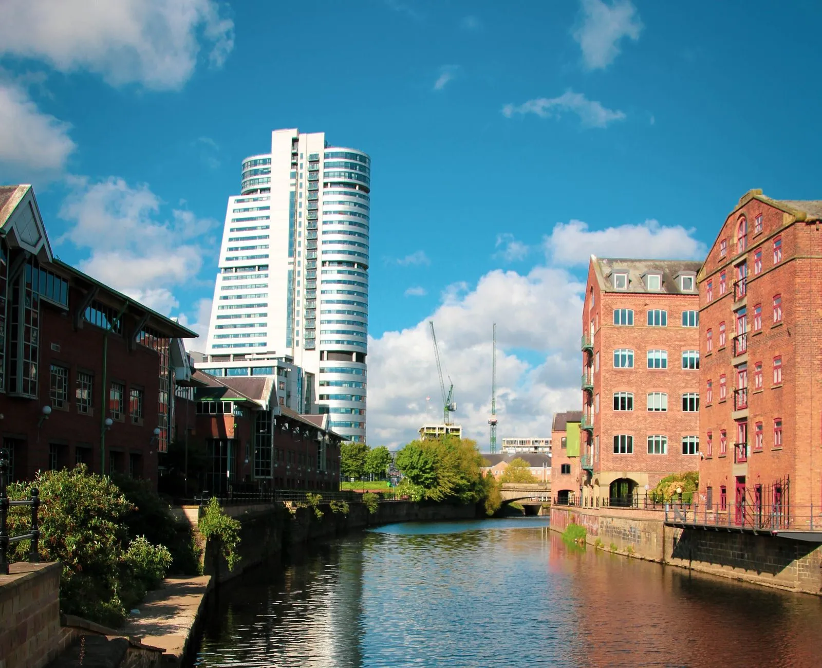 Pest control services in Leeds by Bawcro Pest Control