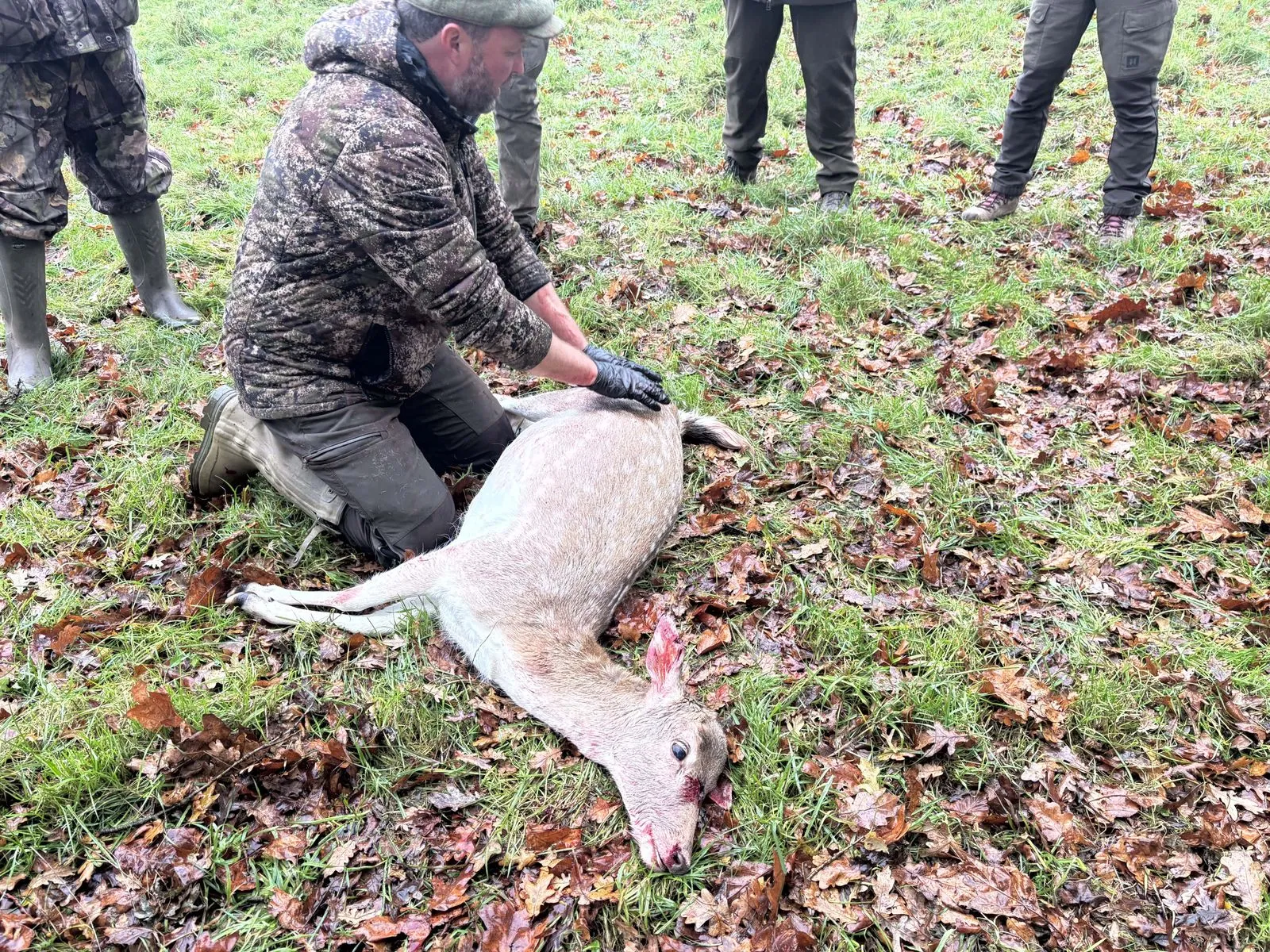 DSC2-level gralloch procedure demonstrated during Yorkshire training