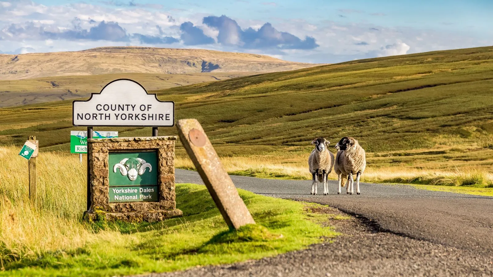 Commercial pest control services in North Yorkshire by Bawcro Pest Control