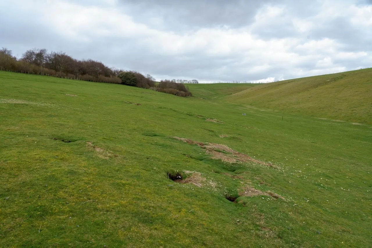 Rabbit burrow damage in agricultural field in Yorkshire