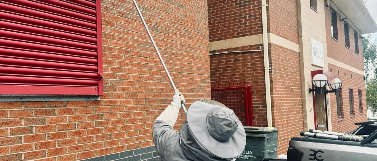 Bawcro Pest Control treating a high-level wasp nest using specialist access equipment in Yorkshire.