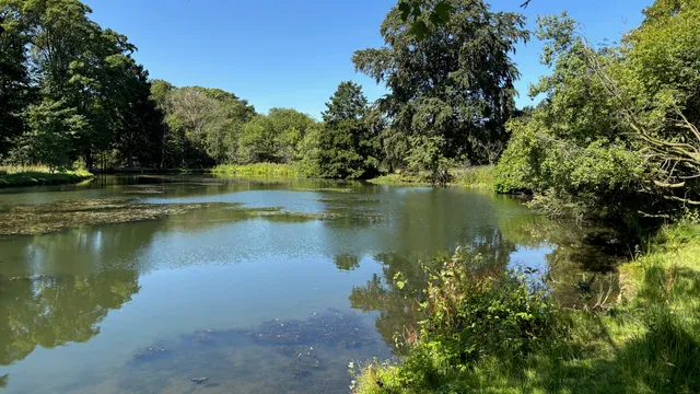 Bawcro carrying out land management works at Denton Reserve, including stock fencing, tree branch clearance and pond restoration across the estate.