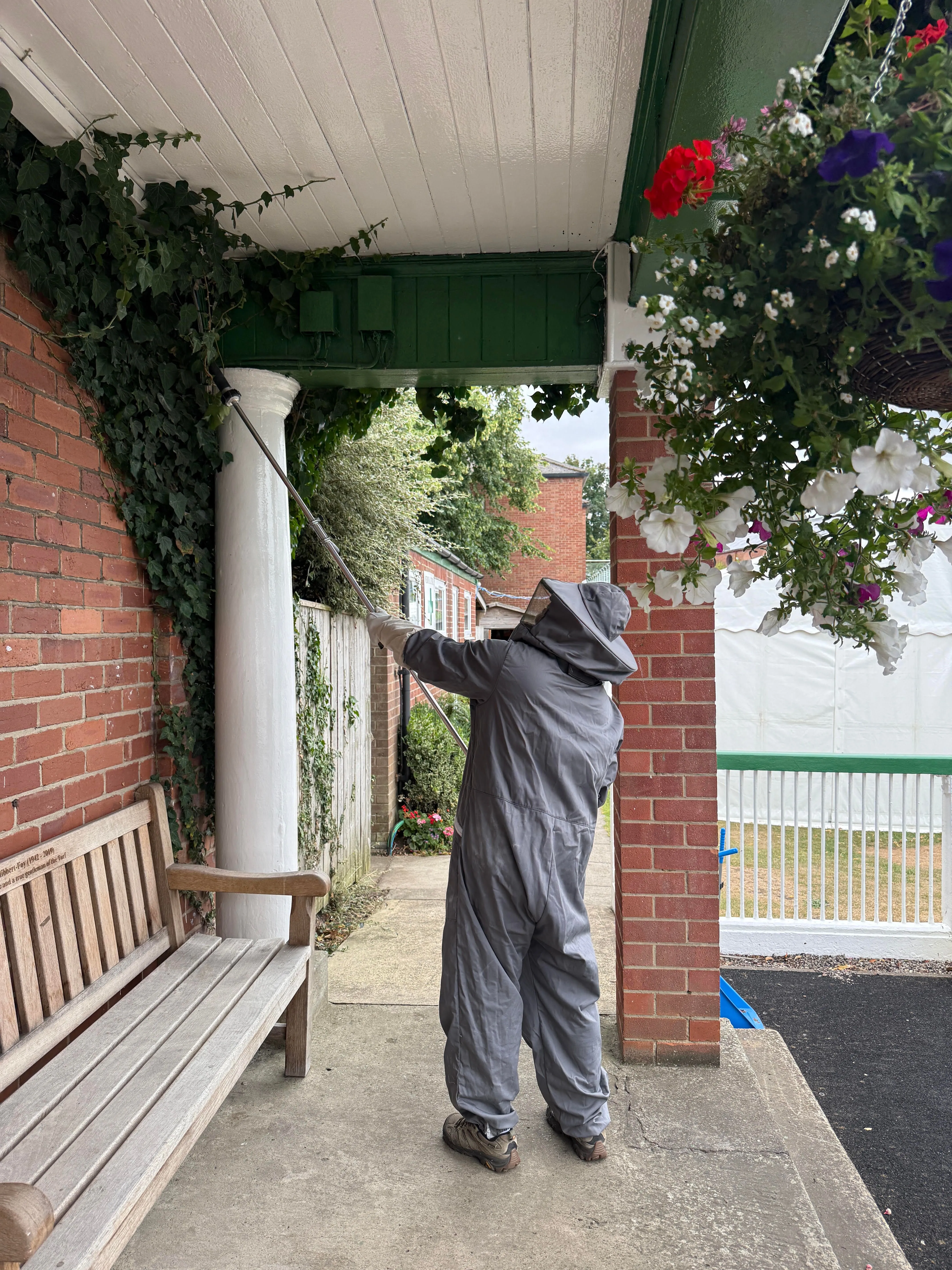 Wasp Nest Removal