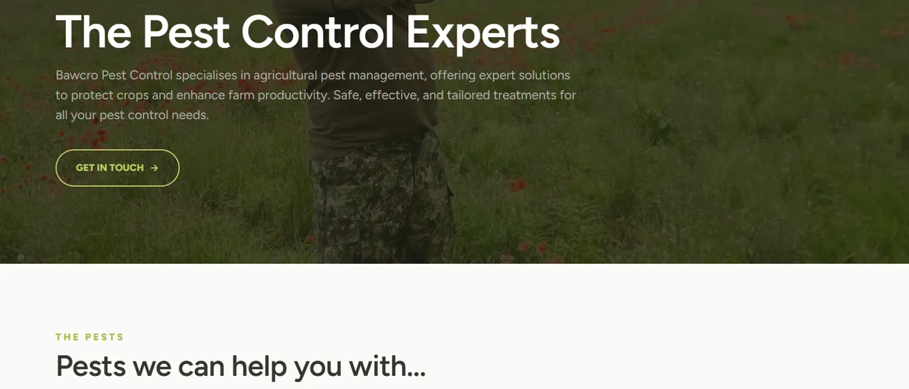 Screenshot of Bawcro Pest Control's newly launched website, showcasing enhanced user experience and comprehensive pest management services in Yorkshire