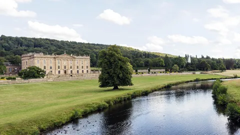 Bawcro professional conducting a deer population survey on a Yorkshire estate to implement sustainable management practices