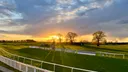 Yorkshire racecourse and surrounding grounds representing specialist pest and wildlife management for large outdoor sites.