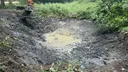 Bawcro clearing an old pond at Denton Reserve in preparation for its conversion into a new outdoor plunge pool.