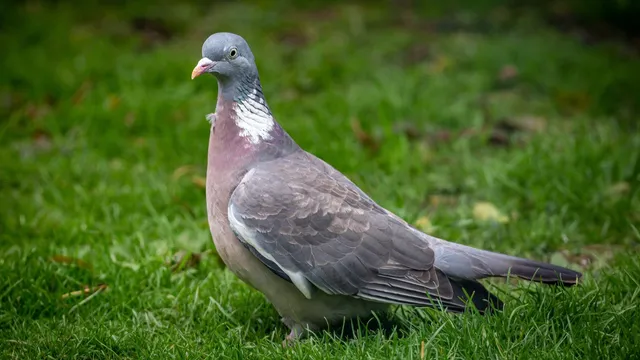 Shutterstock 2363971997 Large