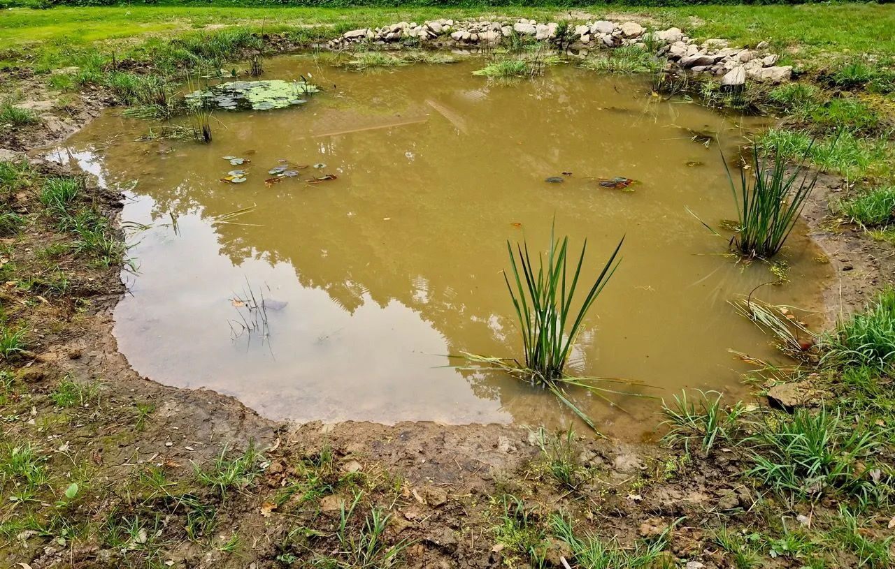 Newly created pond by Bawcro to attract amphibians and insects, boosting local biodiversity in Yorkshire
