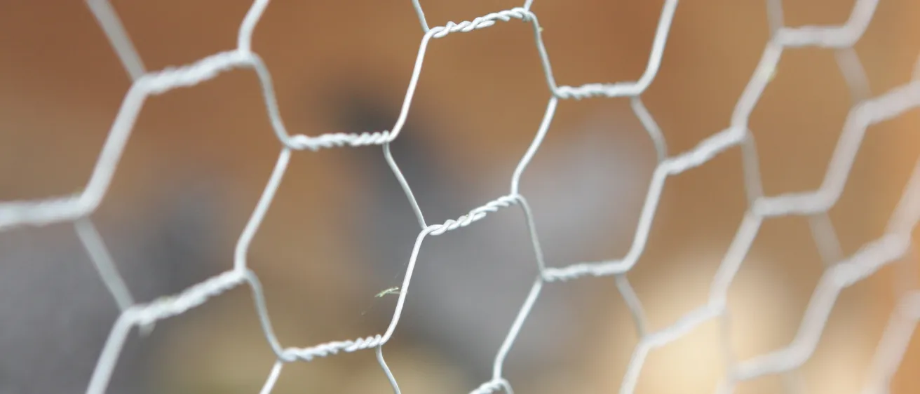 High-quality metal mesh installed over a vent to block rodents and insects, ensuring lasting protection for Yorkshire properties.
